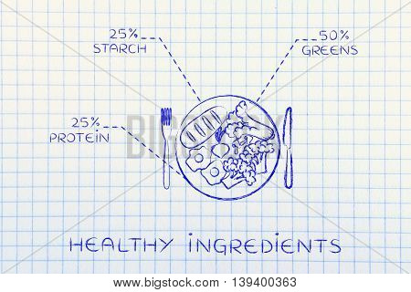 Plate With Healthy Meal And Recommended Portions, Egg Version