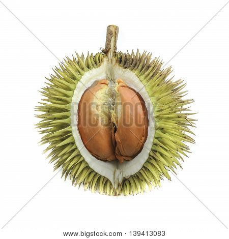Fruits of Sabah Borneo called 