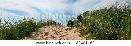 Path to beach over a dune with sky and clouds, Wellfleet Massachusetts on Cape Cod-Proportionate to Large Mobile Banner
