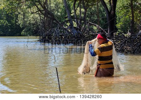 Tuaran, Sabah, Malaysia - June 7, 2016: Unidentified fisherman catch fish by throwing net.