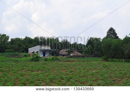 rural view in Vietnam with house and field