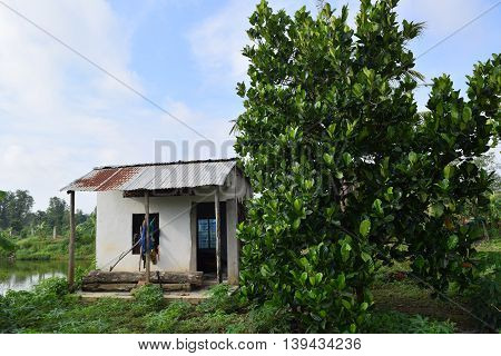 Vietnamese countryside with house next to the fishing pond