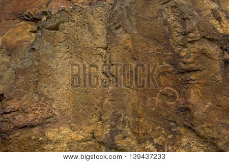 Petroglyphs on the stone in Tamgaly Kazakhstan