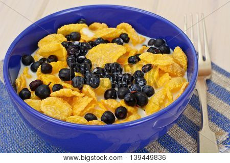 Cornflakes with Bilberry and Chocolate. Healthy Breakfast Studio Photo