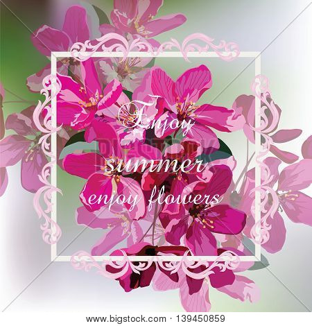 Vector Spring Summer Card. Pink flowers blossom tree branch. Pelargonium geranium bright cerise. Photo realistic Vector flowers Illustration