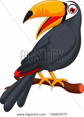 Cute cartoon toucan bird posing on the branch