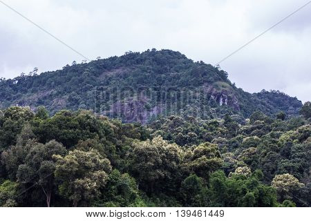 mouantain in doi inthanon national park , chiangmai