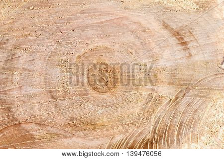 Old alder wooden round timber background. Rough cutting roundwood