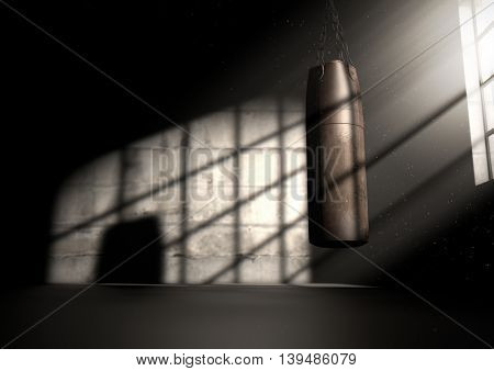 Vintage Leather Punching Bag