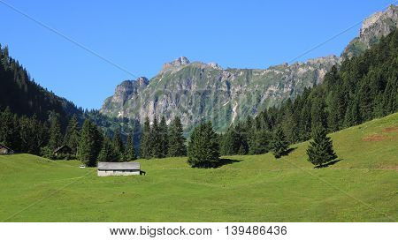 Rural landscape in Glarus Canton Swiss Alps. Green meadow forest and mountains in the Oberseetal.