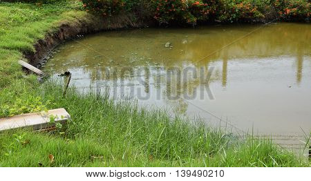 A Dirty sewage in The canal. bad environment.