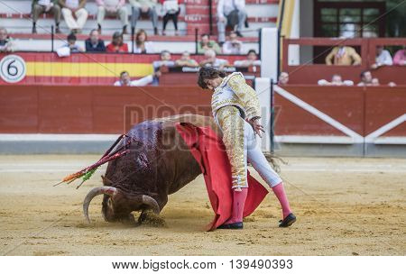 Jaen SPAIN - October 17 2008: The Spanish Bullfighter Curro Diaz bullfighting with the crutch in the Bullring of Jaen Spain