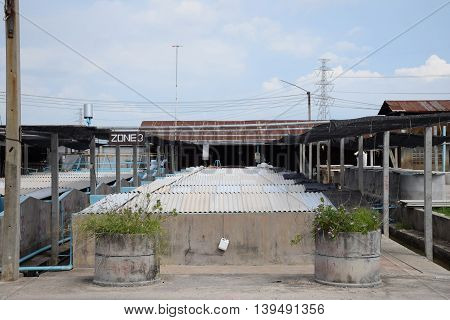 The Shrimp concrete farming. A fish hatchery in Thailand. breeding aquatic animals.