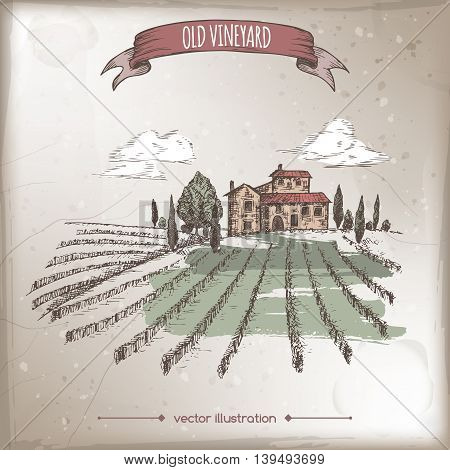 Color vineyard and cottage landscape hand drawn vector sketch on grunge bakground. Great for vine and travel ads, brochures, labels.