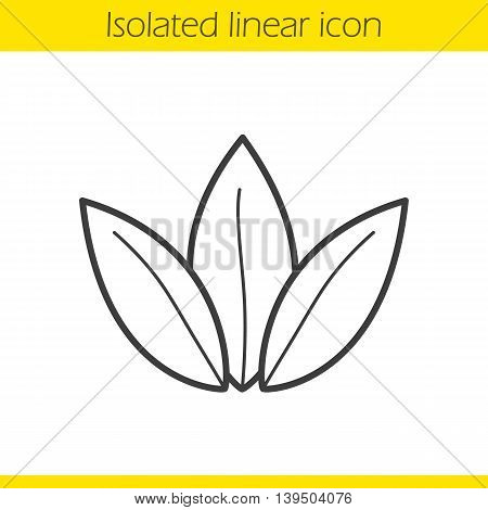 Loose tea leaves linear icon. Thin line illustration. Contour symbol. Vector isolated outline drawing