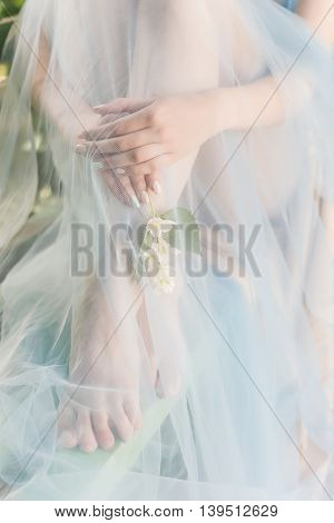 beautiful soft hands and legs of the girl with jasmine flowers in their hands sheltered blue cloth Fine art style