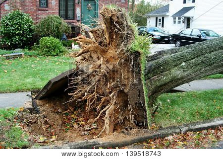 If a tree falls out in the open, will we hear it?