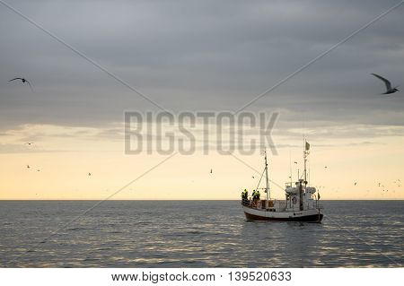 Whale Watching, Near Husavik