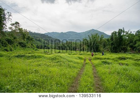 Man Traveler with big backpack mountaineering Travel to the Pre To Lo Su or Pi Tu Kro waterfall heart-shaped waterfall Umphang Tak ,Thailand.