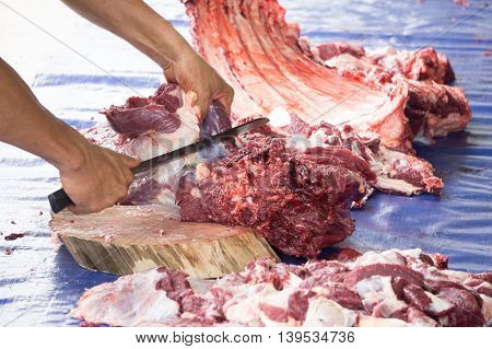 Close-up of muslim man butchers trimming a buffalo cow to be distributed to muslims in needs during Eid Al-Adha Al Mubarak or the Hari Raya Korban.