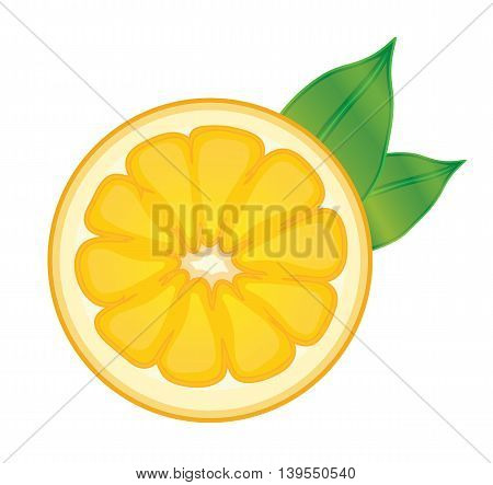 Orange Sliced Fruit