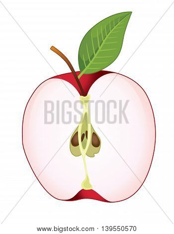 Cut Red Apple