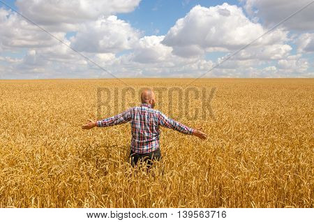 Happy hairless farmer with beard in ripe wheat field with handsup to a blue sky. great harvest.
