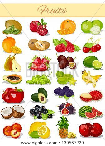 vector illustration of Fruit Product Food Collection