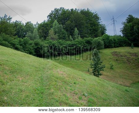 Beautiful green hill with trees at edges