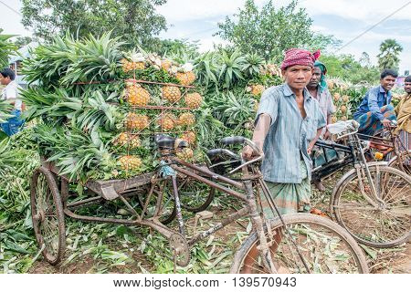 Pineapple Seller
