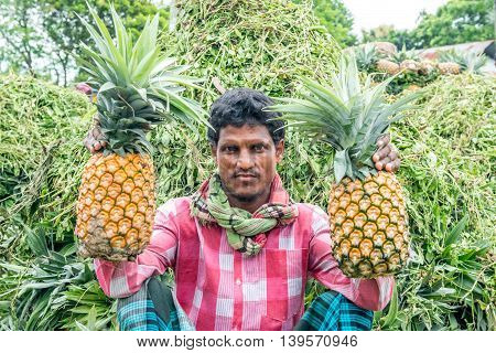 Pineapple Seller