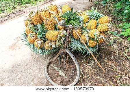 Pineapple Seller