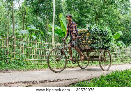 Pineapple Seller