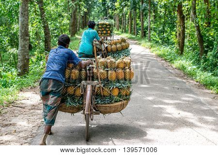 Pineapple Seller