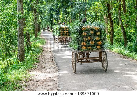 Pineapple Seller
