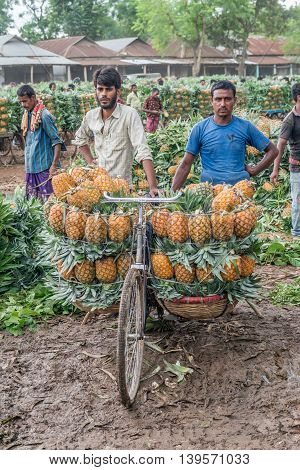 Pineapple Seller