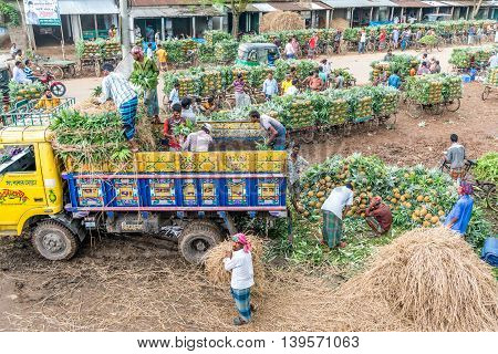 Pineapple Seller