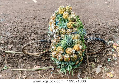 Pineapple Seller