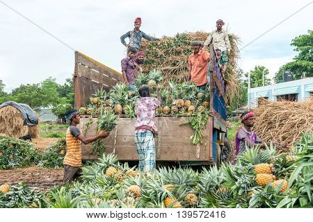 Pineapple Seller