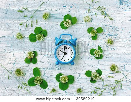 Blue retro alarm clock surrounded clover flowers on rustic wooden table