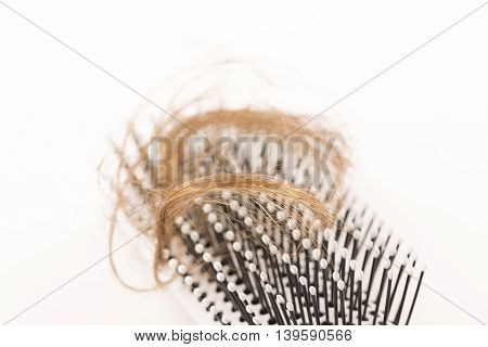 Close-up of hair loss, long hair, alopecia on white background with brush, comb nobody