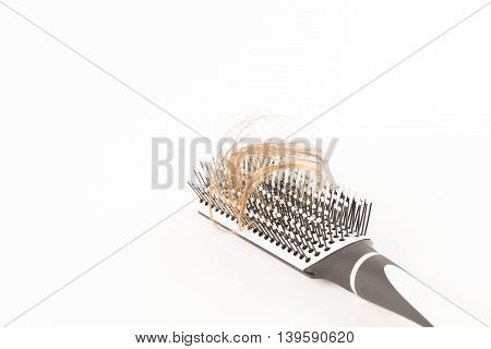 Close-up of hair loss, long hair, alopecia on white background with brush, comb nobody