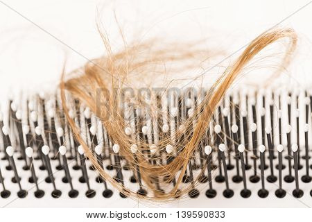 Close-up of hair loss, long hair, alopecia on white background with brush, comb nobody