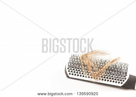 Close-up of hair loss, long hair, alopecia on white background with brush, comb nobody