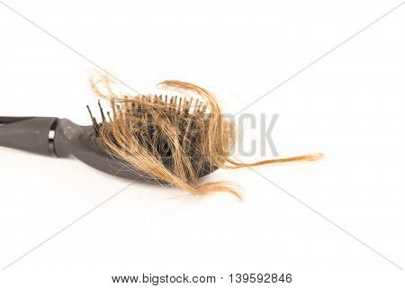 Close-up of hair loss, long hair, alopecia on white background with brush, comb nobody
