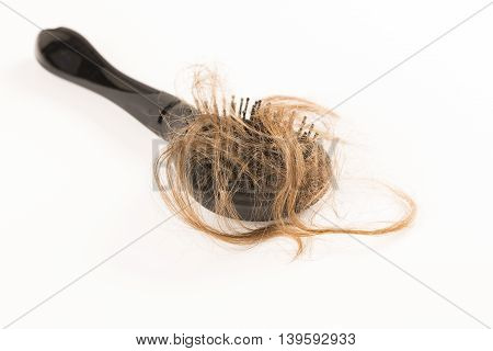 Close-up of hair loss, long hair, alopecia on white background with brush, comb nobody