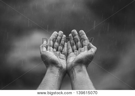 male hands folded in his hands and pulled up to the sky from which the falling drops of warm summer rain.