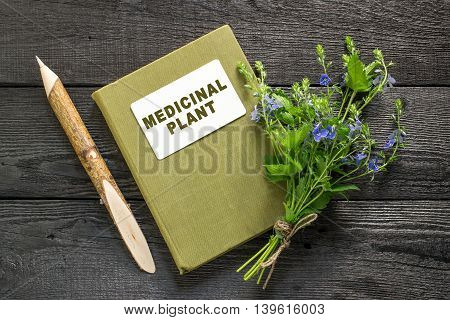 Medicinal plant Veronica Chamaedrys and herbalist handbook on the old wooden table