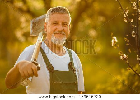 Portrait of a handsome senior man gardening in his garden, on a lovely spring day (color toned image)