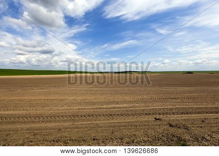 agricultural field, which was plowed for sowing crops. Spring